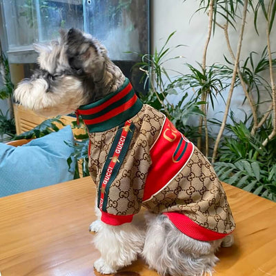 Whimsical Comfortable Dog Jackets For Winter