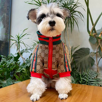 Whimsical Comfortable Dog Jackets For Winter