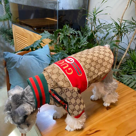 Whimsical Comfortable Dog Jackets For Winter