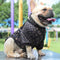 Fashion Dog Rewind Sweatshirt