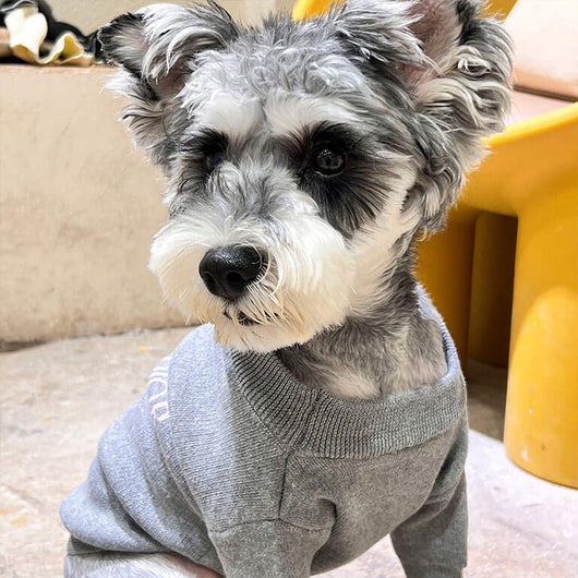 Timeless Grey Black Sweater For Dog