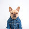 PAWSMOMENT Heritage Denim Trucker