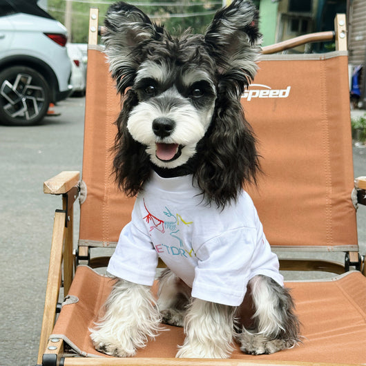 Pet Dog Clean Clothes