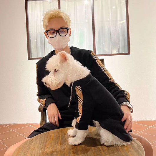 Pet Dog Moody Clothes