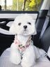 Pet Dog Wavy Clothes