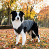PAWSMOMENT Fleece Vest