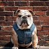 PAWSMOMENT Camden Denim Vest