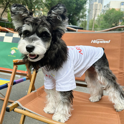 Pet Dog Clean Clothes