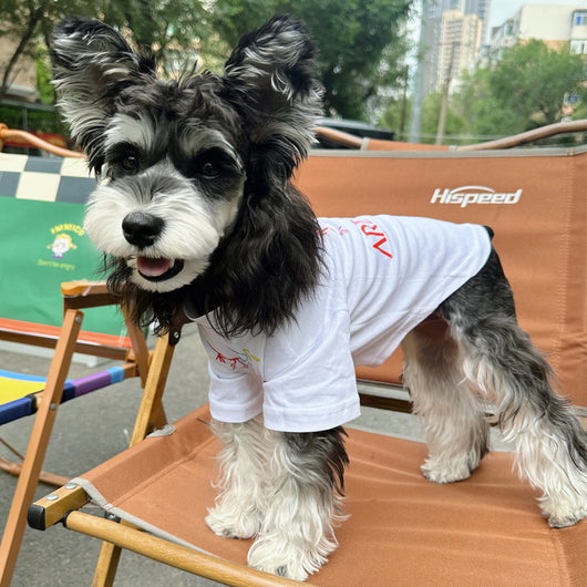 Pet Dog Clean Clothes