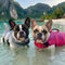 OceanBuddy Dog Life Jacket