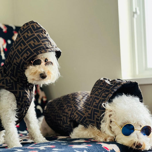 Winter Designer Dog Dope Coats