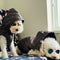 Winter Designer Dog Dope Coats