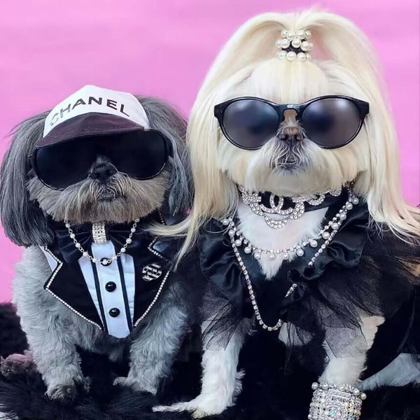 CC Doggo Lux Cool Edgy Cap