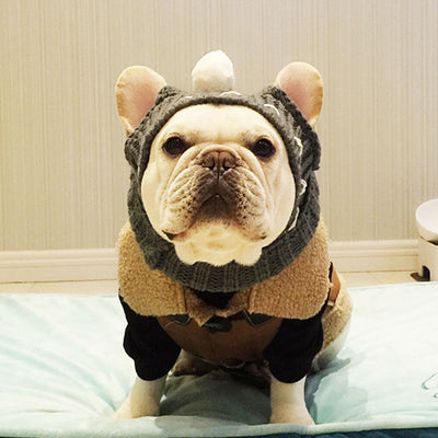 Winter French Bulldog Layered Clothes