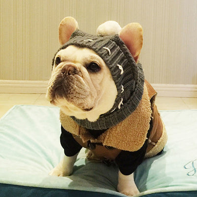 Winter French Bulldog Layered Clothes