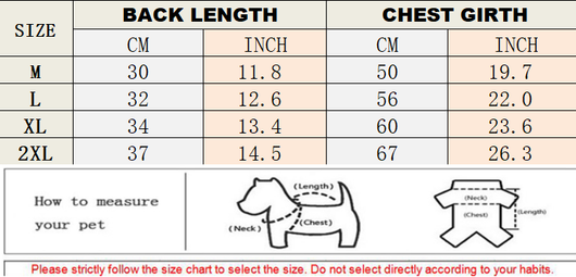 Winter French Bulldog Layered Clothes