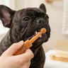 Dog Dental Care Toothbrush Set