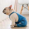 Classic Denim Dog Overalls