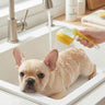 2-in-1 Dog Shampoo Bathing Brush