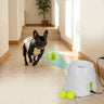 Automatic Dog Ball Launcher