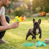 Dog Frisbee Launcher Set
