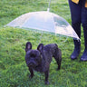 Dog Walk Rain Umbrella Leash