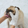 Aloe Dog Grooming Wipe Gloves