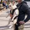 Adventure Hiking Dog Backpack