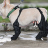 Orthopedic Support Dog Boots