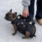 Hands-Free Dog Shoulder Carrier