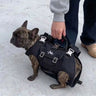 Hands-Free Dog Shoulder Carrier