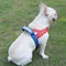 Breathable Summer Dog Harness
