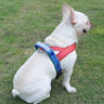 Breathable Summer Dog Harness
