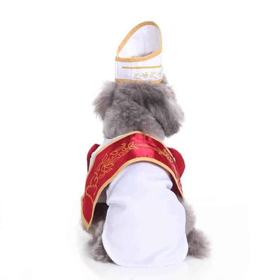 Funny Dog Costumes