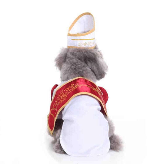 Funny Dog Costumes