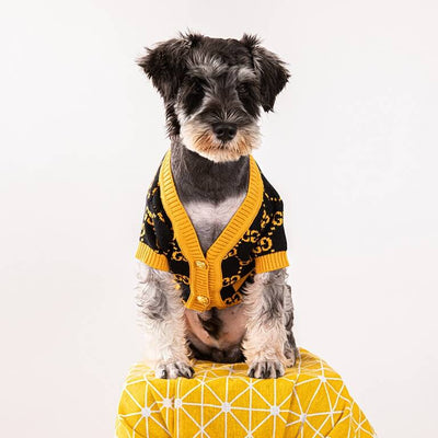 Comfortable Dog Rewind Cardigan