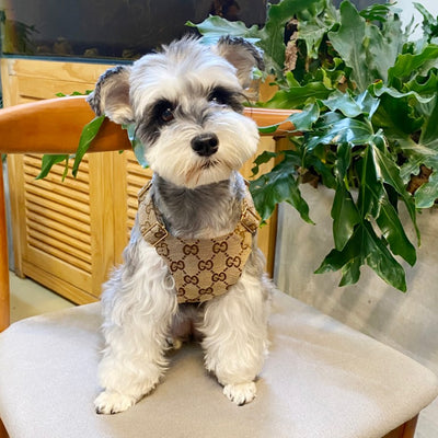 Designer Khaki Small Dog Harness Lit Dress