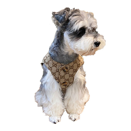 Designer Sassy Vest For Dogs