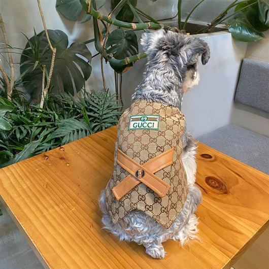 Designer Sassy Vest For Dogs