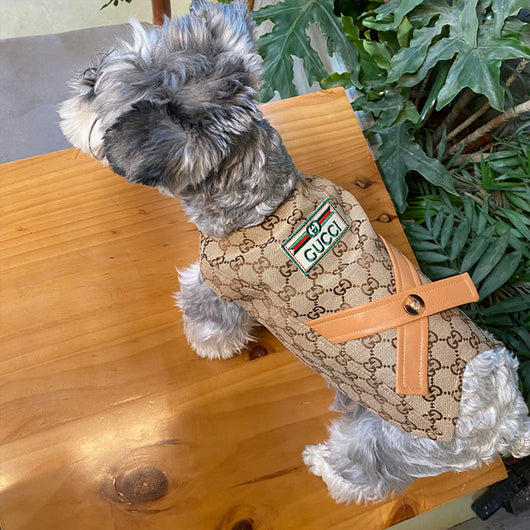 Designer Sassy Vest For Dogs