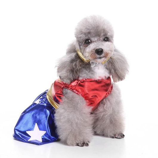 Hawkman Dog Fancy Costumes