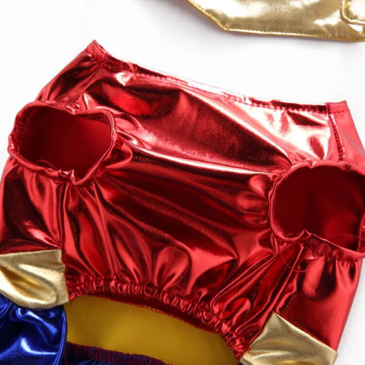 Hawkman Dog Fancy Costumes