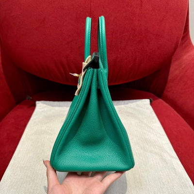 Birkin 25 Velvet Green Luxury Bag