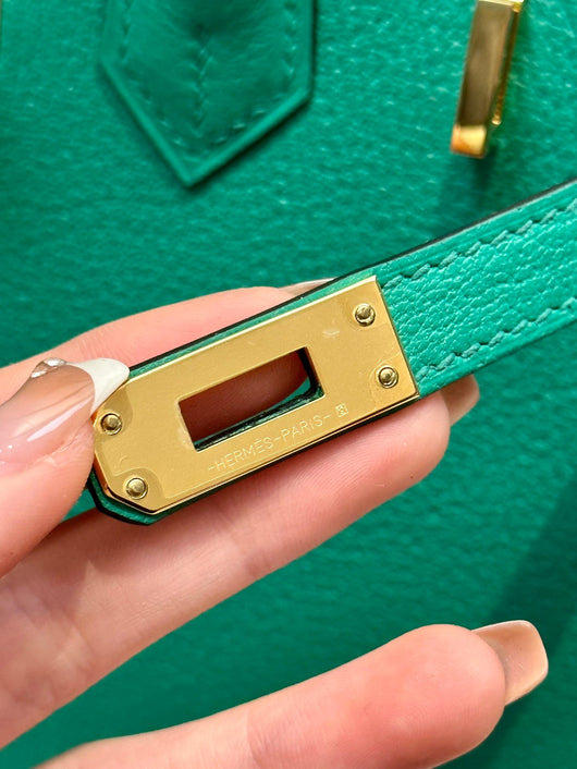 Birkin 25 Velvet Green Luxury Bag