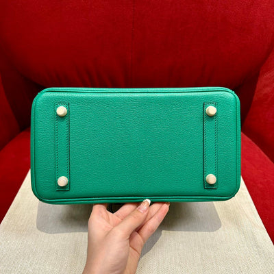 Birkin 25 Velvet Green Luxury Bag