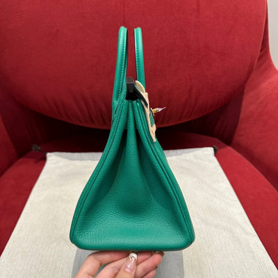 Birkin 25 Velvet Green Luxury Bag