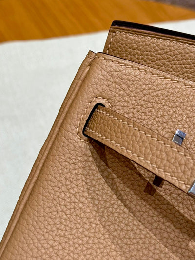 Birkin 25 Chai Luxury Bag