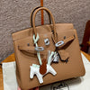 Birkin 25 Chai Luxury Bag