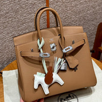 Birkin 25 Chai Luxury Bag