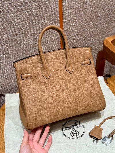 Birkin 25 Chai Luxury Bag